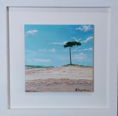 dunas_del_pinar_1369079370